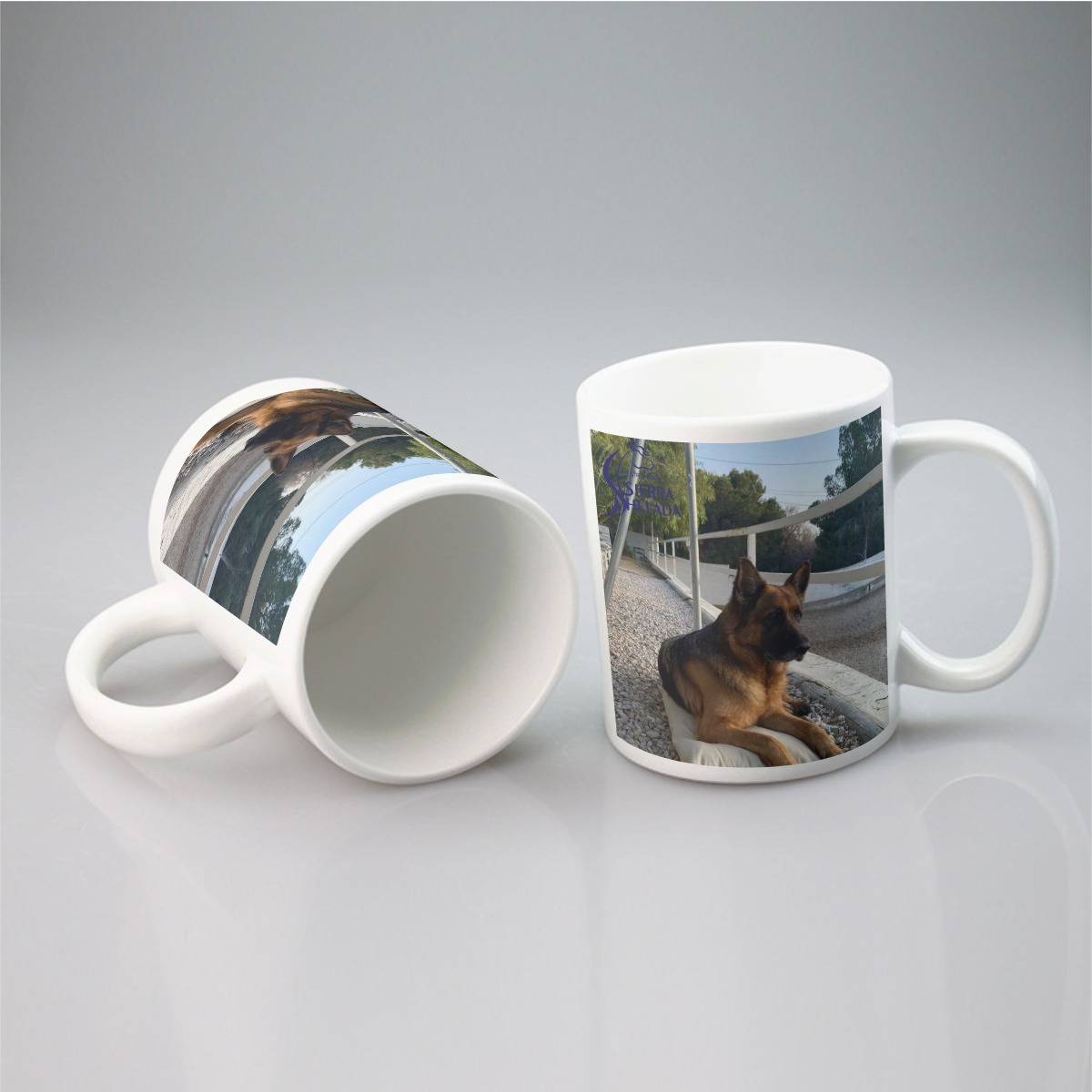 Taza Perro India - Image 1