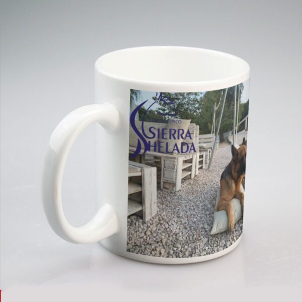 Taza perro India